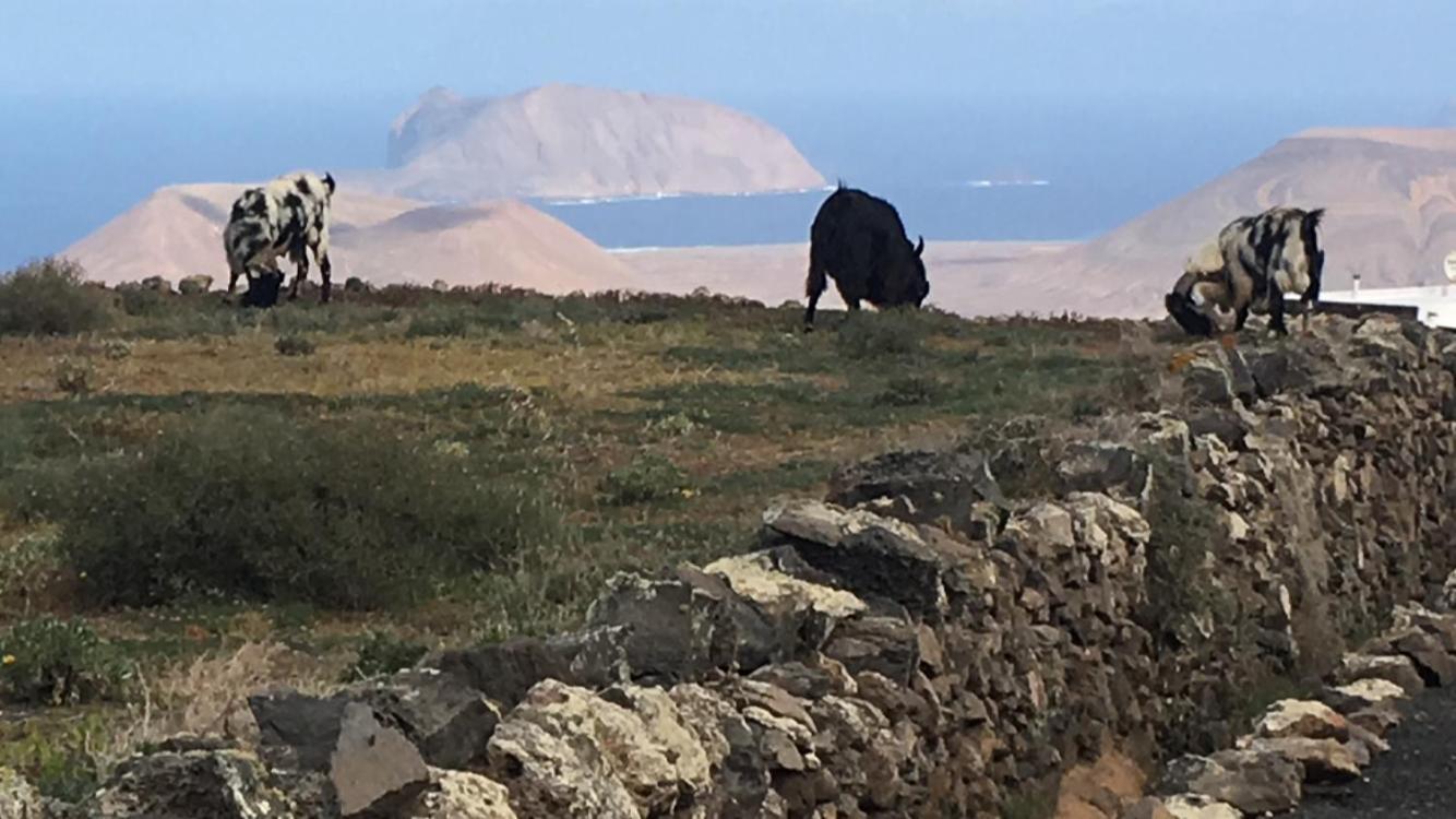 Casa Vereda Del Risco Ye Eksteriør billede